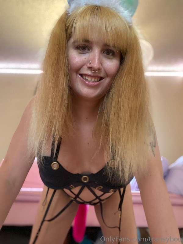 transyboo image #4