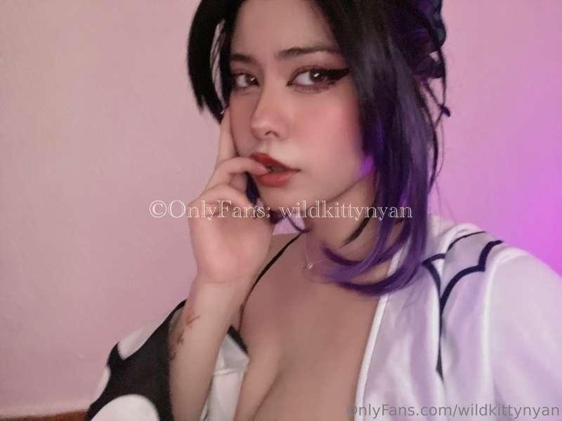 wildkittynyan image #17