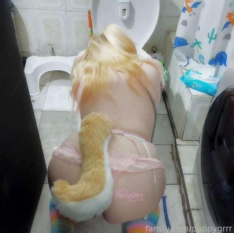 puppygrrr image #1
