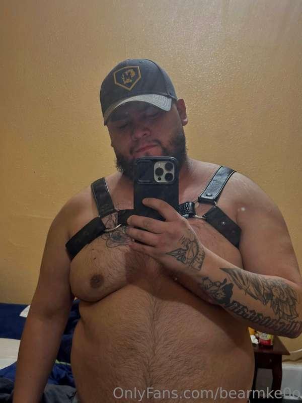 😈🐻