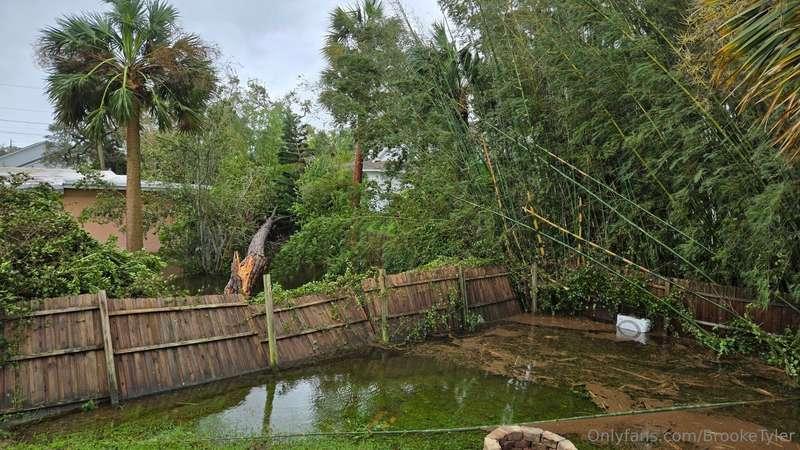 Things went well during the hurricane. I stayed home. Winds ..