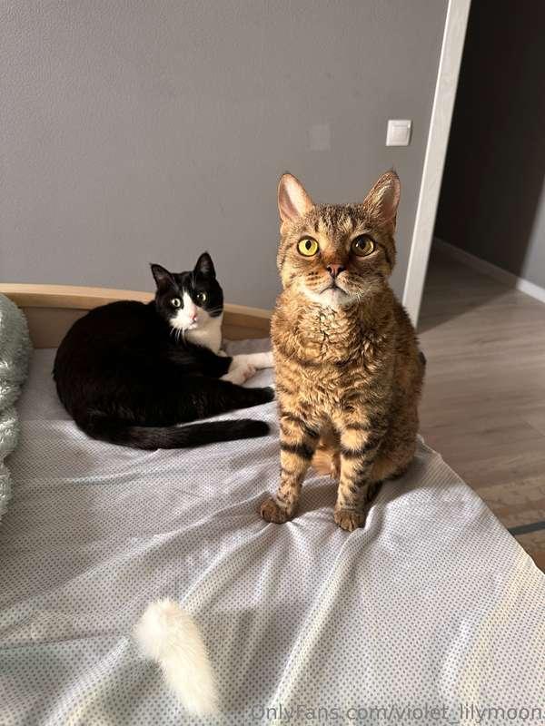 Look at these diligent gentlemen😂 I love them❤