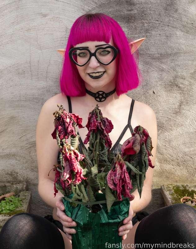 I have a black thumb. This poinsettia died when I touched it ☠️

#fyp #egirl #alt #goth #emo #sexy #glasses #pale #petite #collar #choker #elf #cosplay #uwu #weeb #otaku