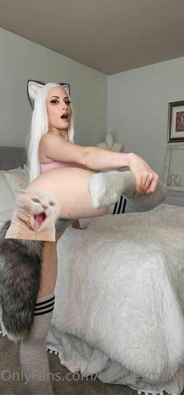 Pssst, do you like Buttplug content? Have you been a fan of ..