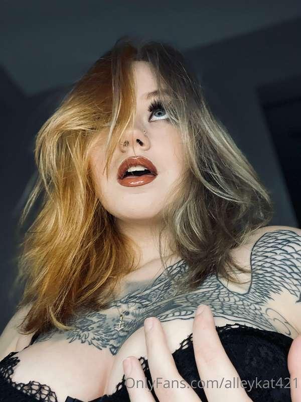 alleykat421 image #3