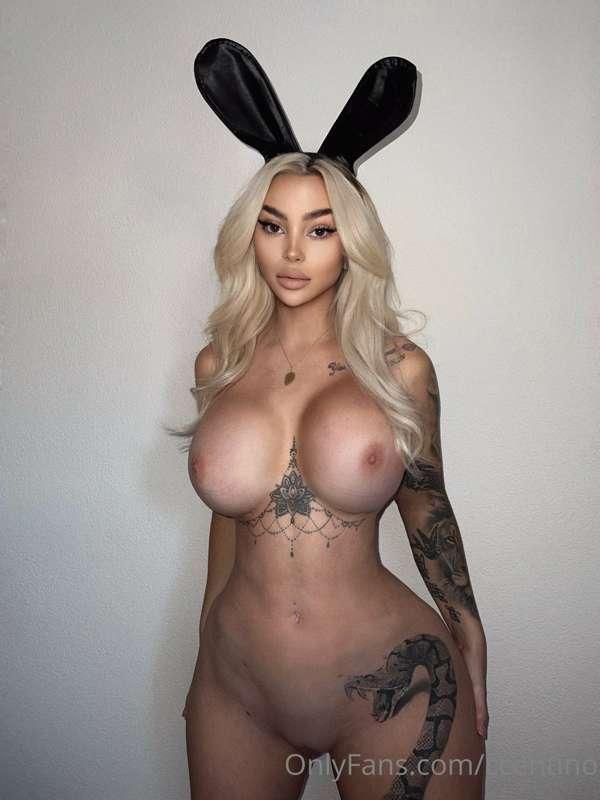 bad bunny😏