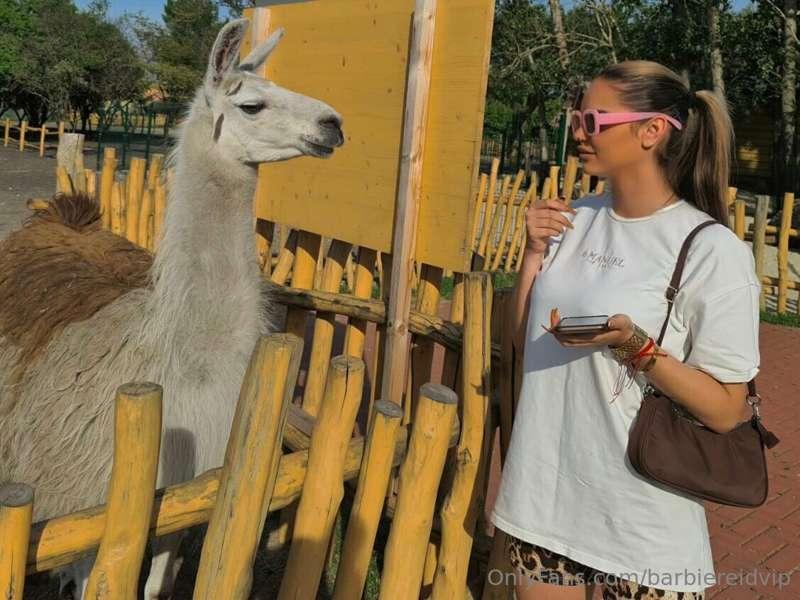 ### Did you know that I love animals too much, going to the ..