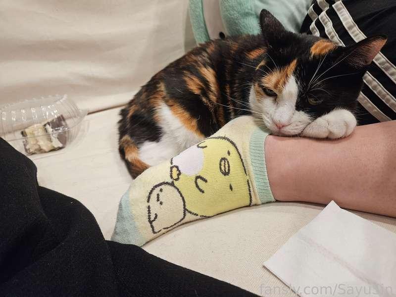 My little girl, San, sleeping on my leg hehe~