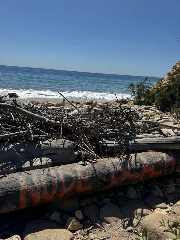 mikeysminds image #0