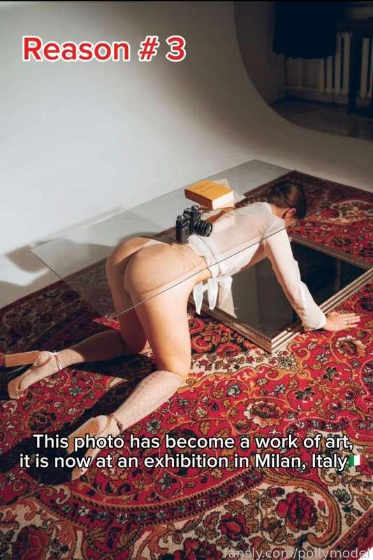 pollymodel image #0