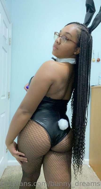 bunny_dreams02 image #0