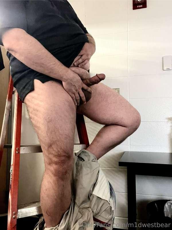m1dwestbear image #2