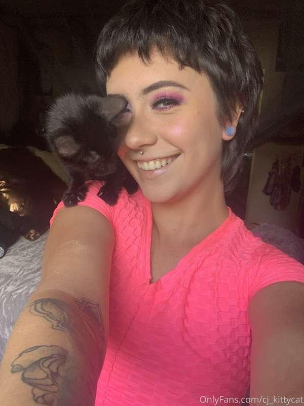 cj_kittycat image #0