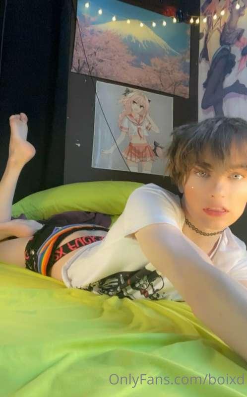 boixd image #8