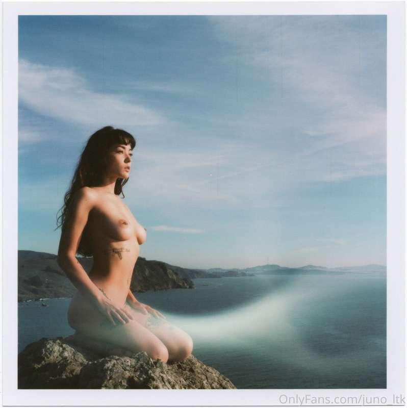 juno_ltk image #6