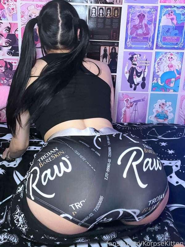 korpsekitten image #7