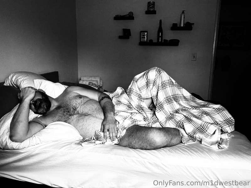 m1dwestbear image #8