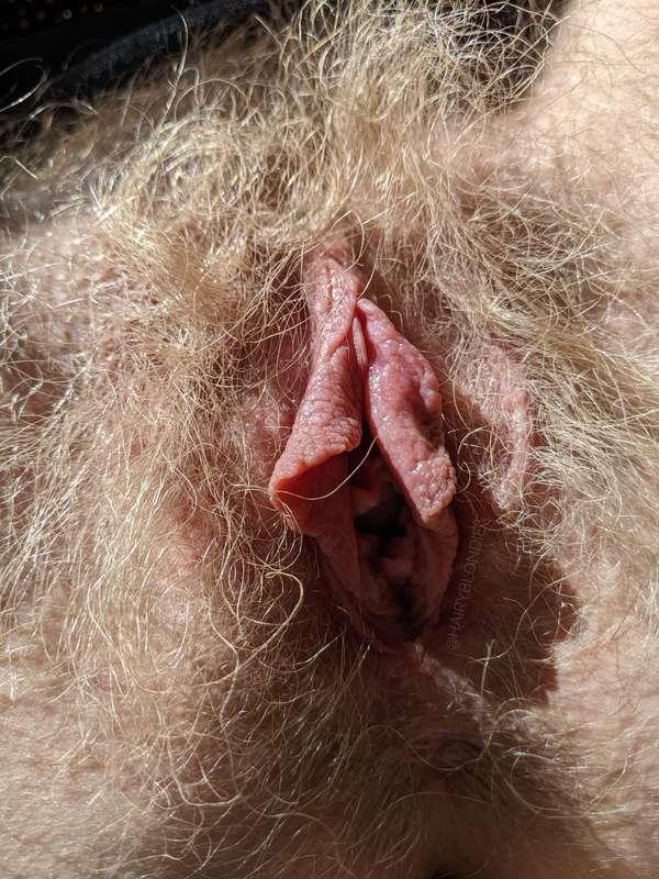 hairyblondie image #0