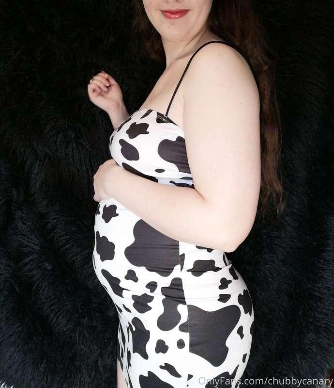 chubbycanary image #5