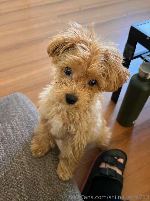 新しい家族が増えてからやることたくさんで育児みたいです🥰✌🏻