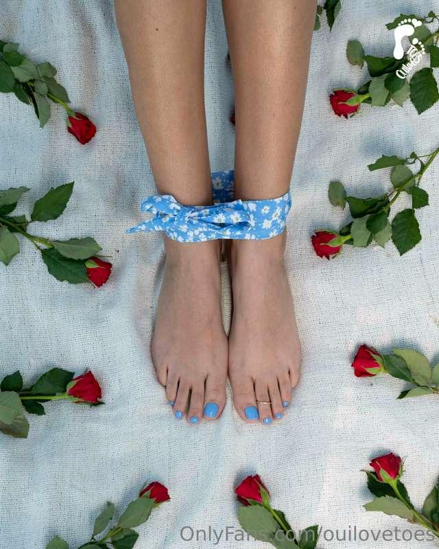 ouilovetoes image #9