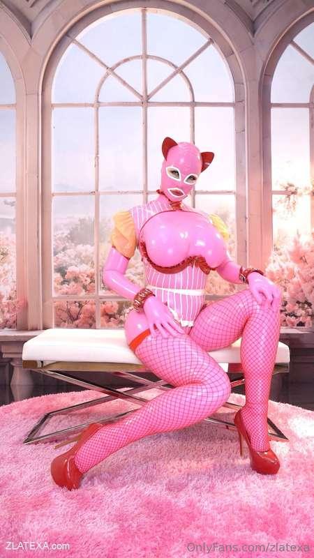 Pink kitten