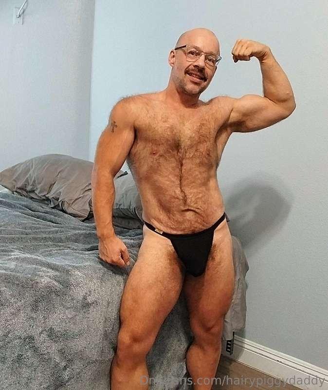 hairypiggydaddy image #0