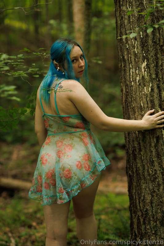 Come follow me. 🌳🧚‍♀️