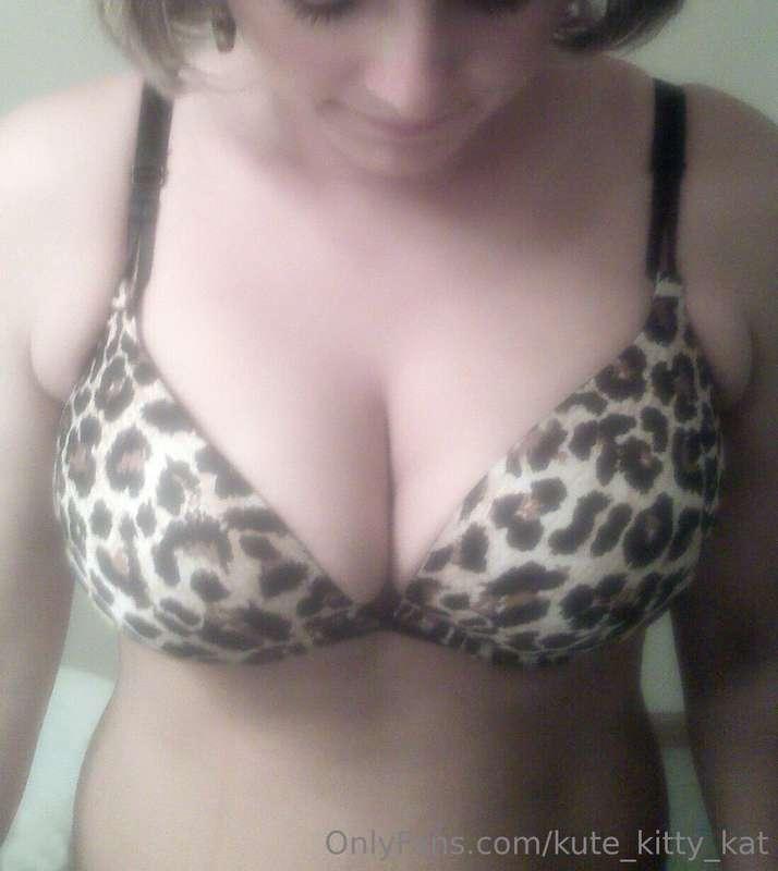 I luv staring at my Freshly Waxed Kitty! Don't you?  See it ..