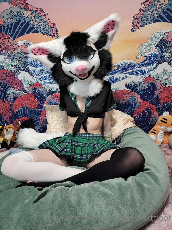 the_fluff_nextdoor image #3