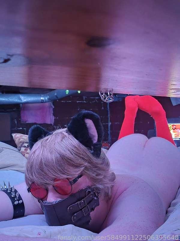 #femboy 