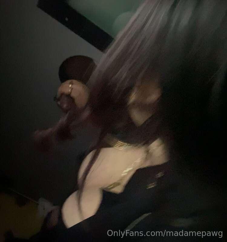 madamepawg image #33