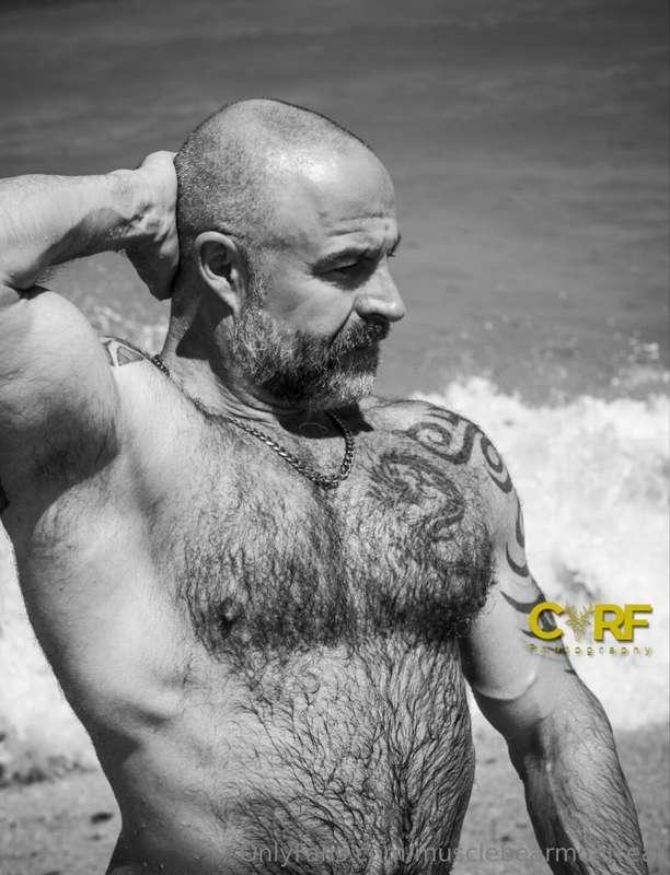 musclebearmontreal image #9