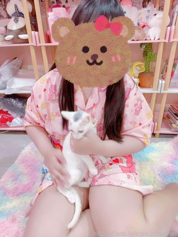 pauchannel18 image #8