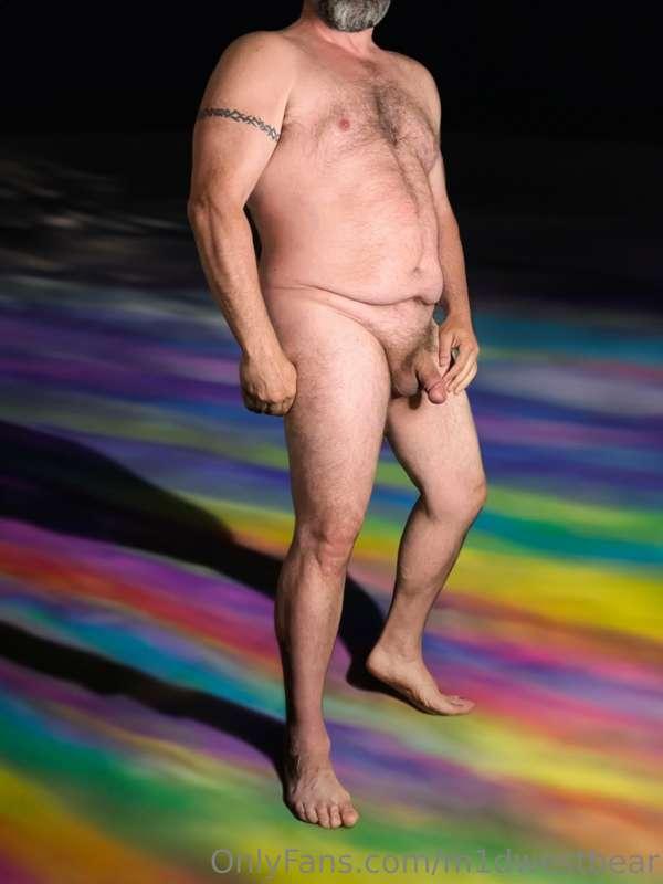 m1dwestbear image #1