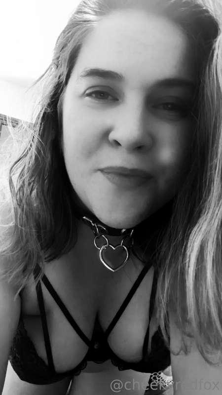 Collared and caressed - happy hump day cuties. 
#bdsm #kinkl..