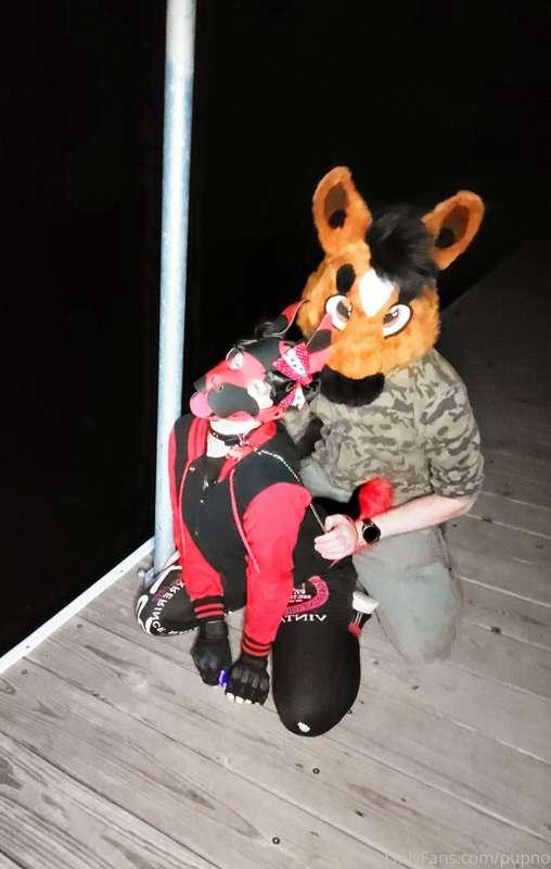 kodi_pup image #1