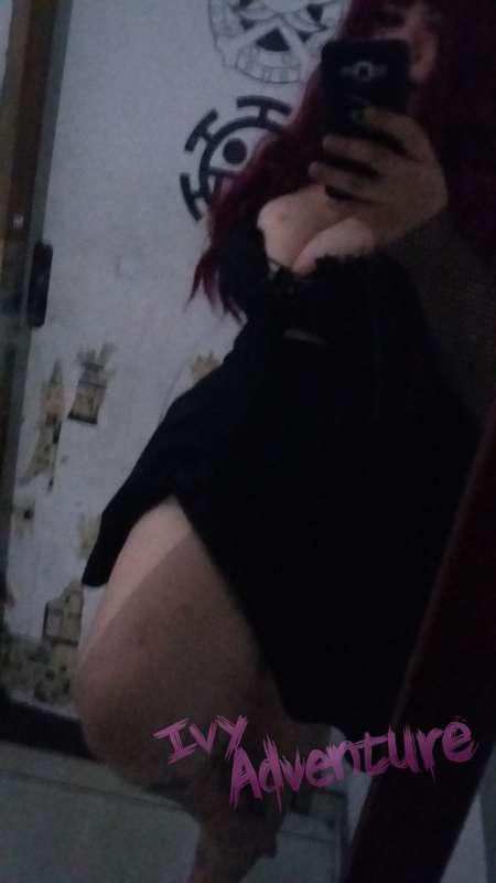 ivyadventure image #2