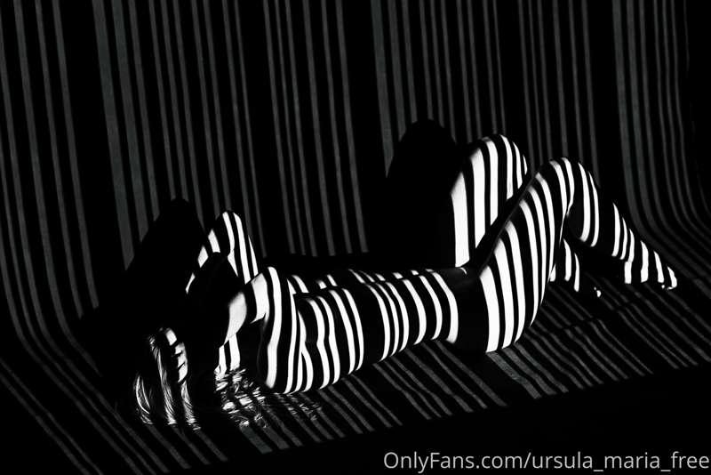 🦓