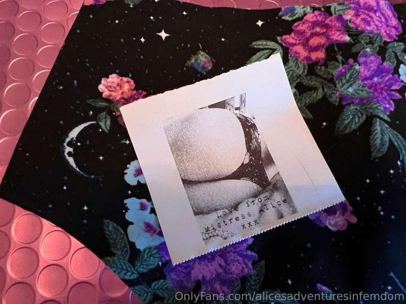 alicesadventuresinfemdom image #4