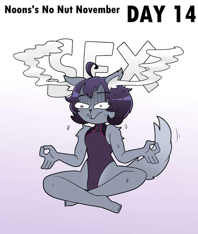 NNN Day 14...