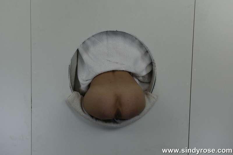 sindyrose image #5