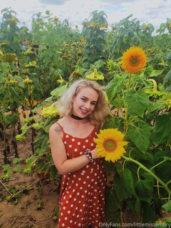 A few wholesome sunflower photos 😌 I learned that I'm basica..