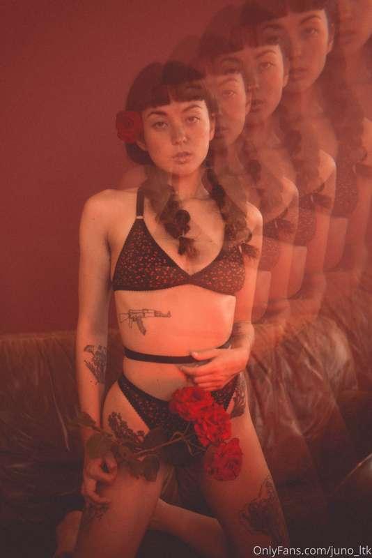 🌹 Roses 🌹 
photos by Ashley French