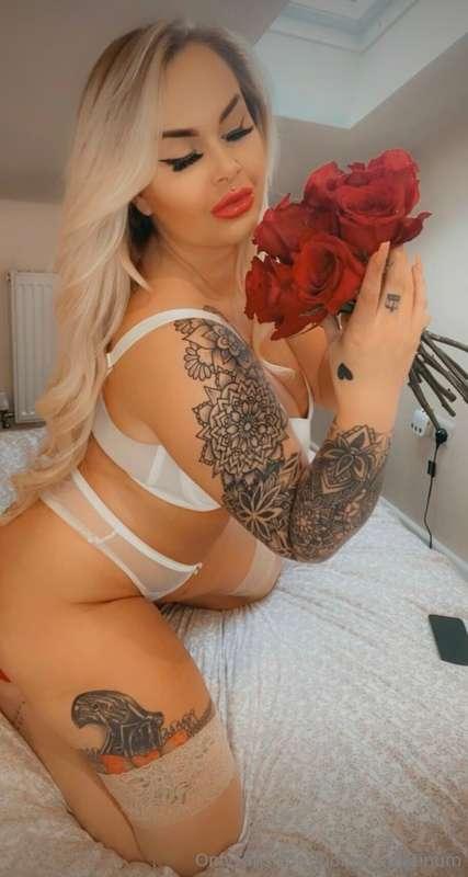 Rose are red… 