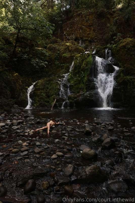court.inthewild image #3