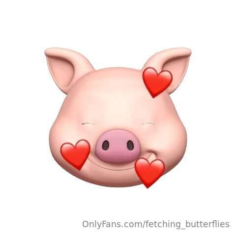 fetching_butterflies image #4