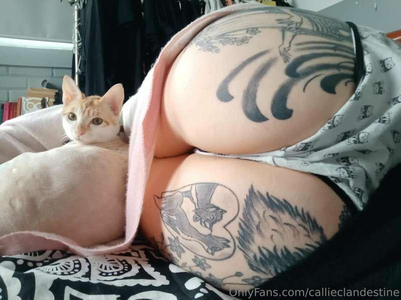 Incase you came to see my.. cat