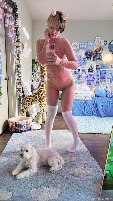 indigowhite image #62