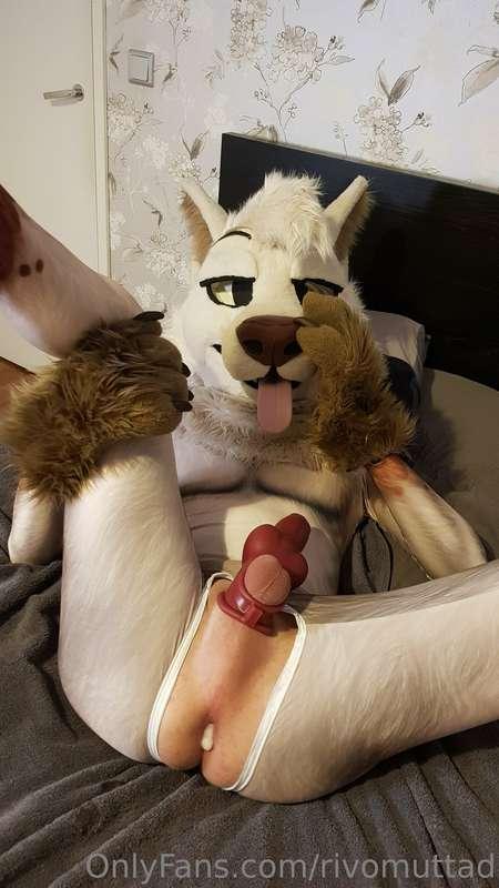 Happy aftermath~